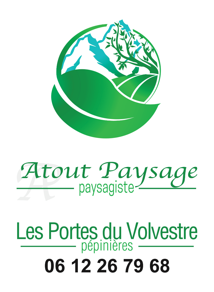 Capture d'écran 2025-04-03 161044