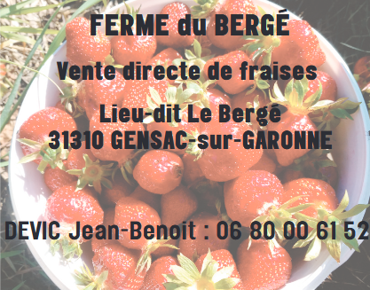 Capture d'écran 2025-04-03 161104