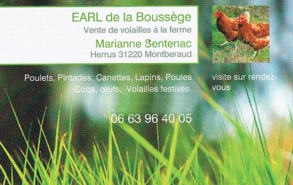 Capture d'écran 2025-04-03 161124