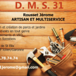 1-2-dms31