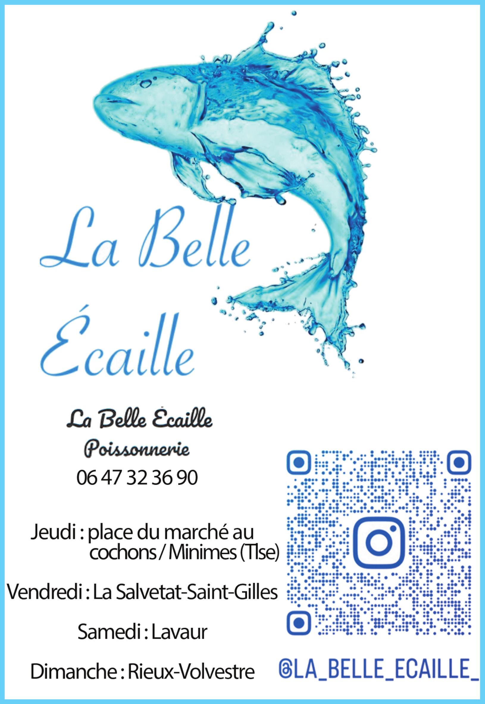 page-la-belle-ecaille